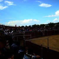 TOROS DE LA XL FIESTA DE PRIMAVERA