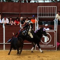 TOROS DE LA XL FIESTA DE PRIMAVERA