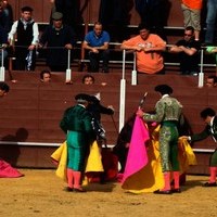 TOROS DE LA XL FIESTA DE PRIMAVERA