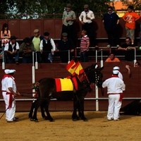 TOROS DE LA XL FIESTA DE PRIMAVERA