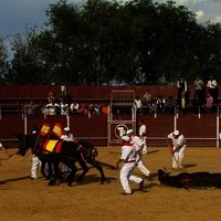 TOROS DE LA XL FIESTA DE PRIMAVERA