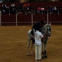 TOROS DE LA XL FIESTA DE PRIMAVERA