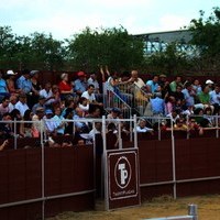 TOROS DE LA XL FIESTA DE PRIMAVERA