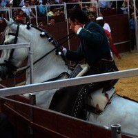 TOROS DE LA XL FIESTA DE PRIMAVERA