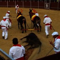 TOROS DE LA XL FIESTA DE PRIMAVERA