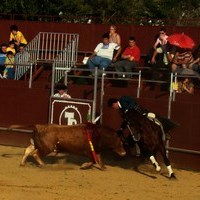 TOROS DE LA XL FIESTA DE PRIMAVERA