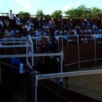 TOROS DE LA XL FIESTA DE PRIMAVERA