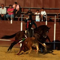 TOROS DE LA XL FIESTA DE PRIMAVERA