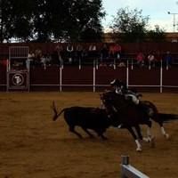 TOROS DE LA XL FIESTA DE PRIMAVERA