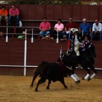 TOROS DE LA XL FIESTA DE PRIMAVERA