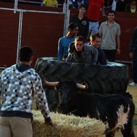 FERIA 2008. VAQUILLAS