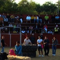 FERIA 2008. VAQUILLAS