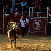 FERIA 2008. VAQUILLAS