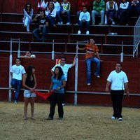 FERIA 2008. VAQUILLAS