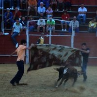 FERIA 2008. VAQUILLAS