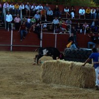 FERIA 2008. VAQUILLAS