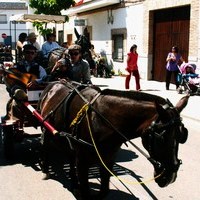 SUBIDA AL SOCORRO. 2ª parte