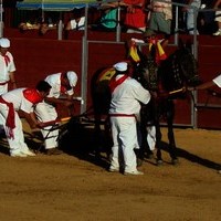 TOROS FERIA 2009