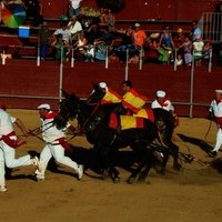 TOROS FERIA 2009