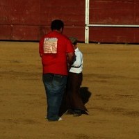 TOROS FERIA 2009