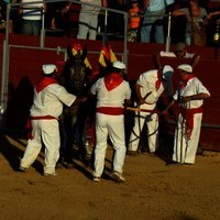 TOROS FERIA 2009