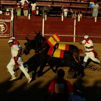 TOROS FERIA 2009