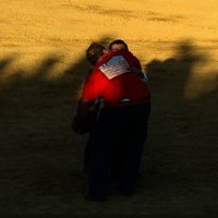 TOROS FERIA 2009