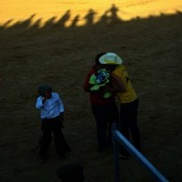 TOROS FERIA 2009