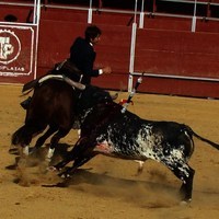 TOROS FERIA 2009