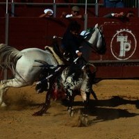 TOROS FERIA 2009