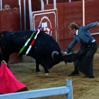 TOROS FERIA 2009