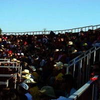 TOROS FERIA 2009