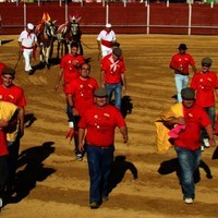 TOROS FERIA 2009