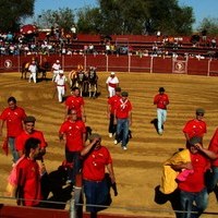 TOROS FERIA 2009