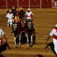 TOROS FERIA 2009