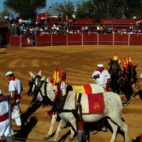 TOROS FERIA 2009