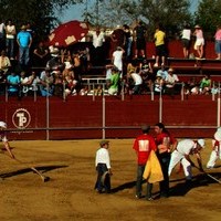 TOROS FERIA 2009