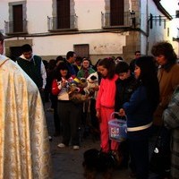 SAN ANTÓN 2011