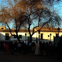 SAN ANTÓN 2011