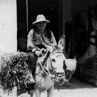 Labores del Campo