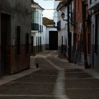 Calle Alonso del Pozo