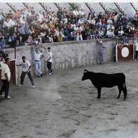 FERIA 2003. Encierros