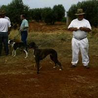 FOTOS FERIA 2004. Tiro al plato y Galgos