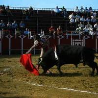 FOTOS FERIA 2004. Corrida de toros