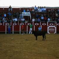 FOTOS FERIA 2004. Encierros