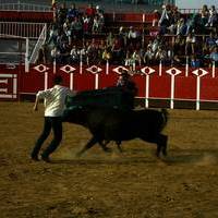 FOTOS FERIA 2004. Encierros