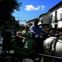 XXXVI FIESTA DE PRIMAVERA: ROMERIA DEL SOCORRO