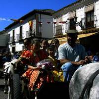 XXXVI FIESTA DE PRIMAVERA: ROMERIA DEL SOCORRO