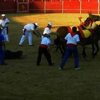 FERIA Y FIESTAS 2005 (I)