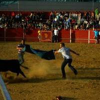 FERIA Y FIESTAS 2005 (I)